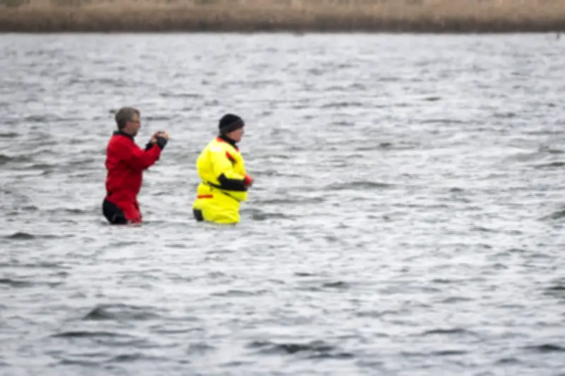Buckelwal vor Poel: Scheinbare Ruhe kann täuschen – Experten warnen vor Stress