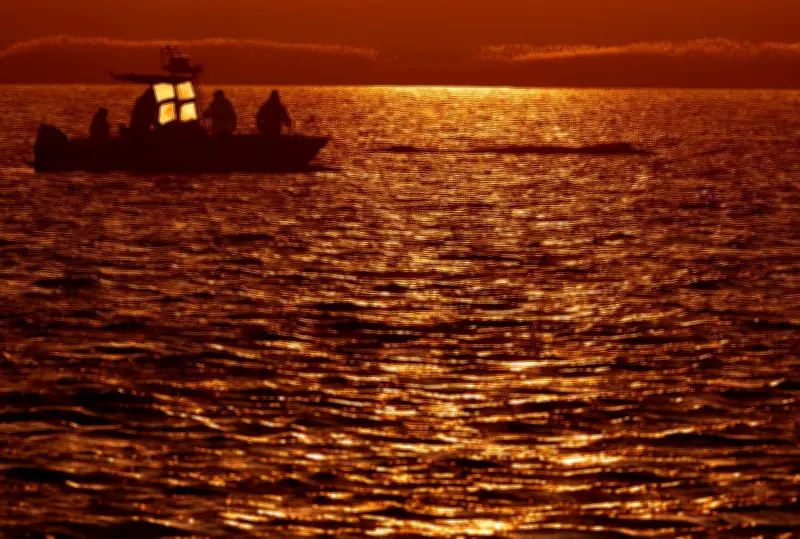 Buckelwal vor Wismar: Rinne zum tiefen Wasser fast fertig