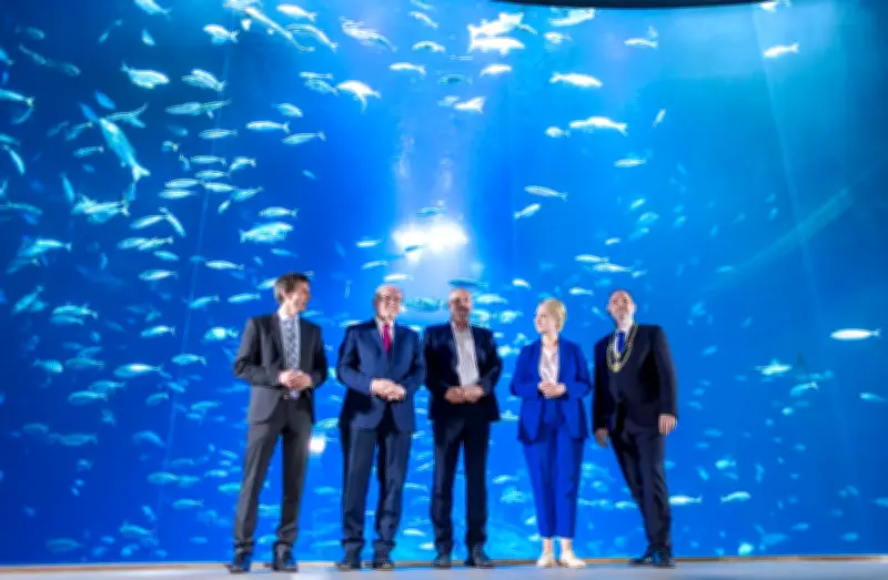 Bundespräsident Steinmeier ehrt zehn engagierte Bürger aus Vorpommern mit Verdienstorden