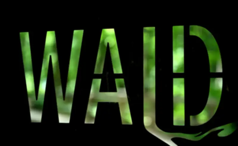 CDU will Mindestabstand für Bauen am Wald von 30 auf 10 Meter reduzieren