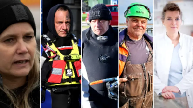 Chaos bei Wal-Rettung: Wer führt die Trümmer-Truppe um Timmy auf Poel?