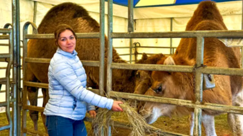 Circus Festival feiert Premiere in Bad Schmiedeberg mit Live-Gesang und Tierdressuren