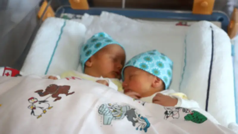 Demmin feiert erstes Zwillingspaar 2026: Matteo und Wilhelm erblicken das Licht der Welt