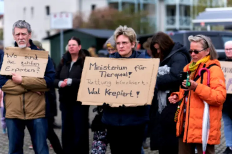 Demonstration für gestrandeten Wal eskaliert: Polizei schreitet auf Poel ein