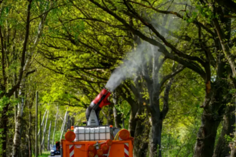 Dessau-Roßlau bekämpft Eichenprozessionsspinner: Das gilt für Anwohner