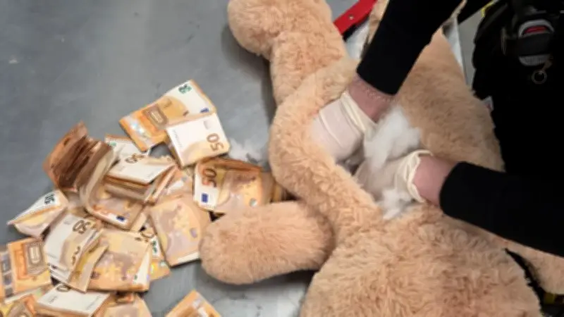 DHL-Mitarbeiter entdeckt 50.000 Euro in Teddybär: Geldbündel unter Plüschfell