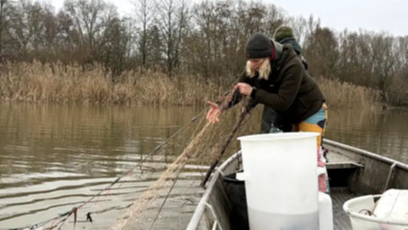 Die letzte Donaufischerin: Katharina Mayer kämpft für ein sterbendes Handwerk
