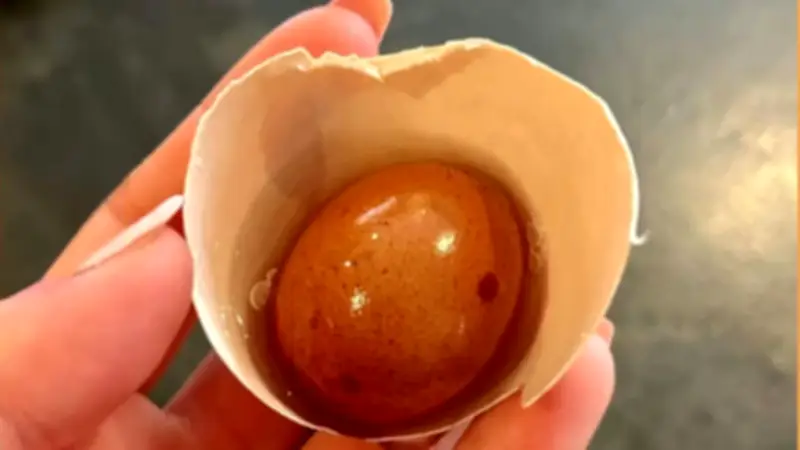 Doppel-Ei in Österreich: Seltene Entdeckung stellt philosophische Frage neu