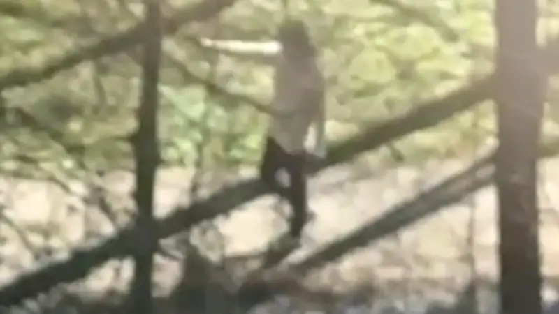 Dramatischer Polizeieinsatz in der Eifel: Schütze entwendet Dienstwaffe und verletzt Polizistin schwer