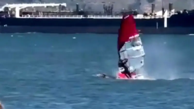 Dramatischer Zusammenstoß: Surfer kollidiert mit Buckelwal in San Francisco Bay