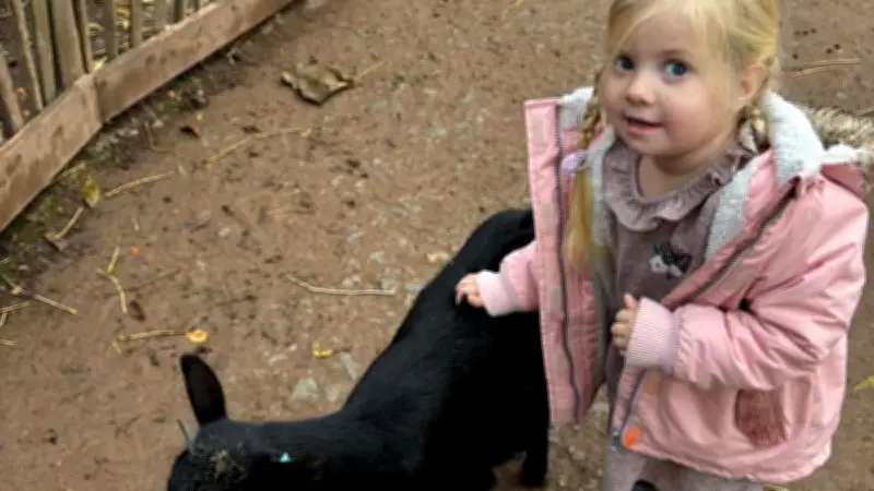 Dreijährige Lara aus Barby kämpft um ihr Leben - Dringende Suche nach Stammzellenspender ausgeweitet