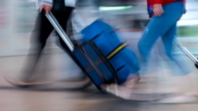 Echtes Possum zwischen Plüschtieren: Kurioser Fund im Flughafen-Souvenirshop