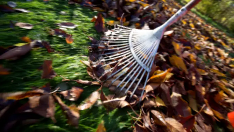 Eggesin ruft Bürger zum gemeinschaftlichen Frühjahrsputz am 11. April auf