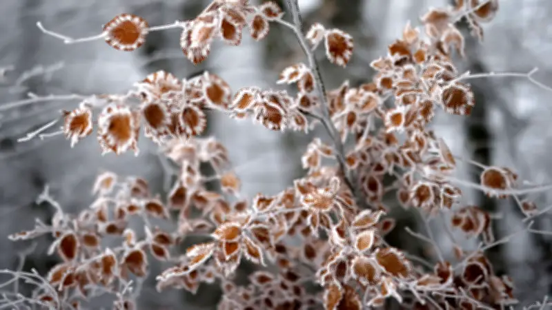 Eisheilige 2026: Kälteeinbruch kommt früher als erwartet