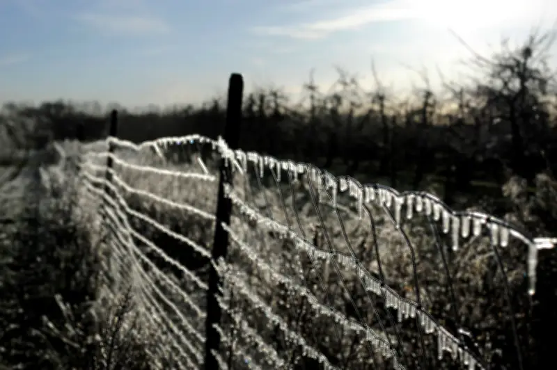 Eisheiligen-Mythos enttarnt: Kachelmann entkräftet Bauernregel