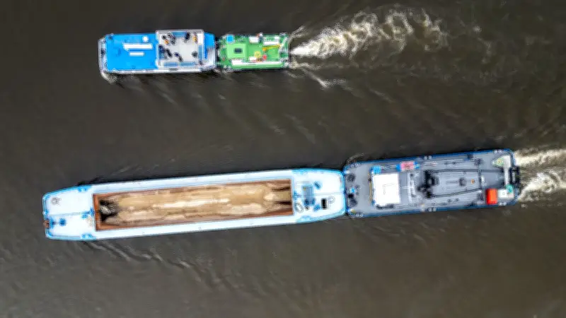 Elbe in Sachsen-Anhalt: Warum der Fluss versandet und welche Rettungsmaßnahmen greifen