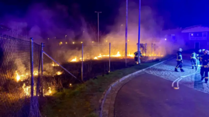 Erneut Vegetationsbrand in Aschersleben: Feuerwehr löscht Flächenbrand an Oststraße
