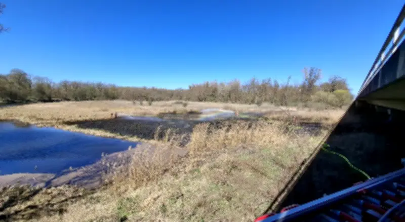 Erneuter Flächenbrand an A9-Brücke bei Dessau: Feuerwehr löscht 1.000 Quadratmeter Wiese