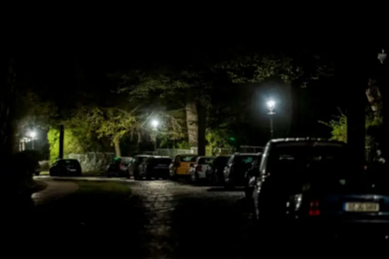 Erneuter Stromausfall in Berlin-Nikolassee: 1.314 Haushalte betroffen