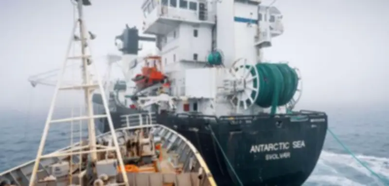 Eskalation in der Antarktis: Tierschützer rammen norwegisches Krillfangschiff