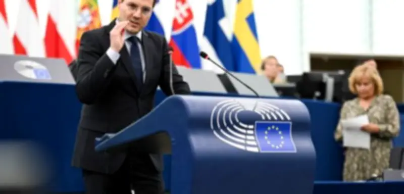 EU-Fördergelder in Millionenhöhe: AfD plant neue europäische Stiftung