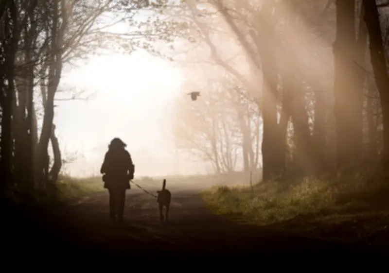 EU-Parlament: Hunde und Katzen müssen künftig gechippt werden