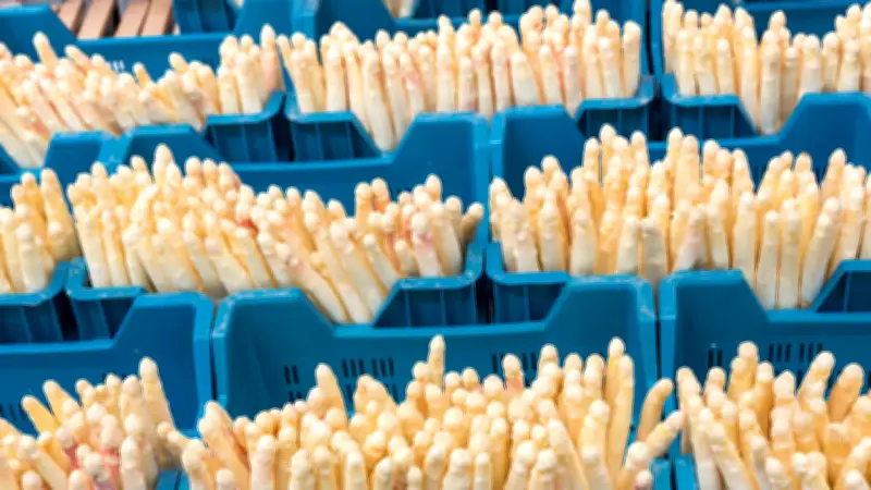 Europäisches Spargelmuseum: Ein ganzes Haus für das weiße Gold Bayerns