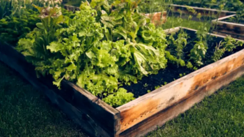 Expertenrat: Warum die Höhe Ihres Hochbeets über den Ernteerfolg entscheidet