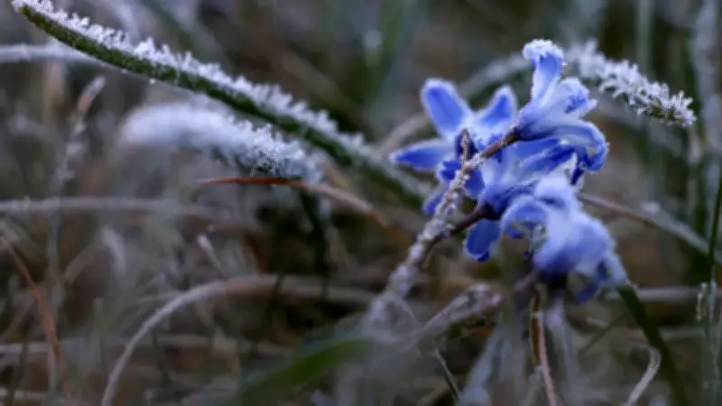 Fast Mai und trotzdem Frost: Warum die Nächte noch so kalt sind