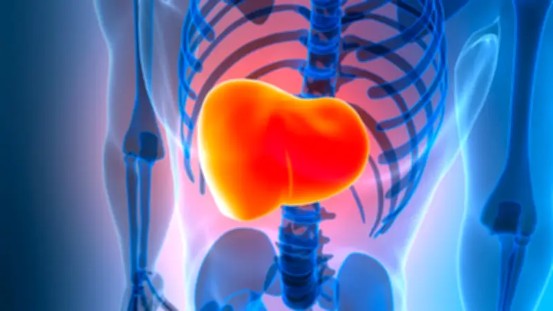 Fettleber: Binge Drinking verdreifacht Risiko für schwere Leberfibrose