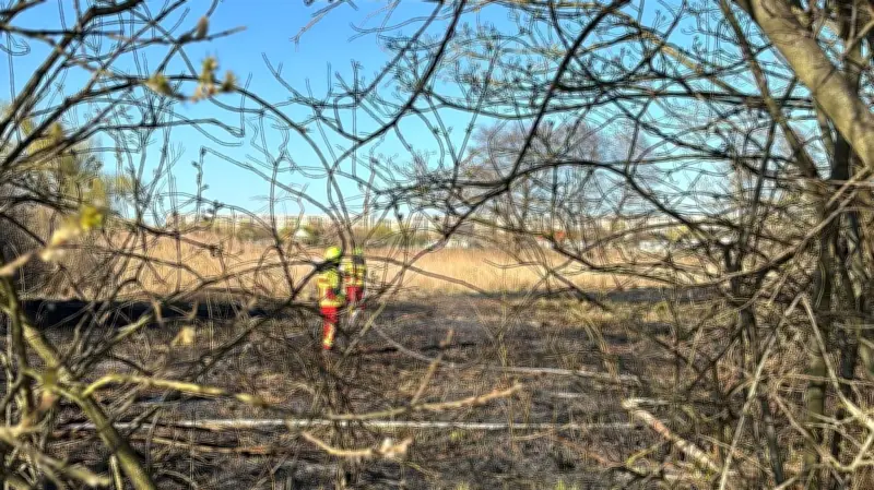 Feuerwehr-Einsatzserie in Bitterfeld-Wolfen: Ödlandbrand auf 3.000 Quadratmetern bekämpft