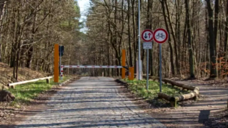 Finanzierungsstreit im Müritz-Nationalpark: Wer zahlt für die Verkehrsberuhigung?