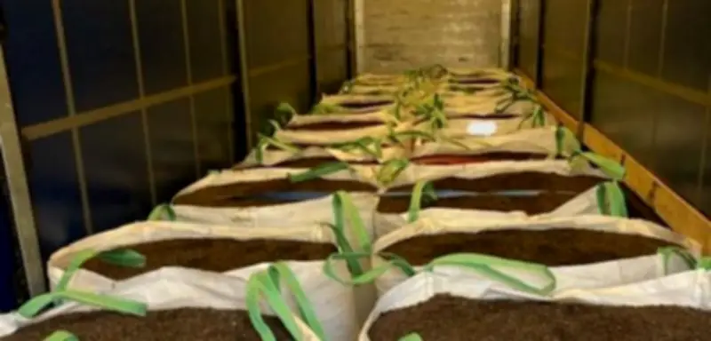 Französischer Zoll entdeckt 1,1 Tonnen Kokain in Blumenerde-Lkw – 75,5 Millionen Euro Wert