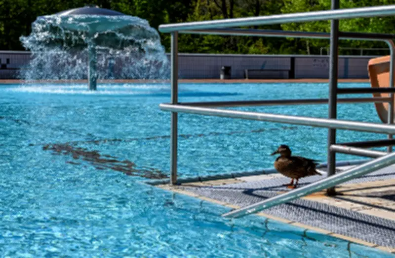 Freibadsaison in Berlin startet: Das müssen Besucher wissen