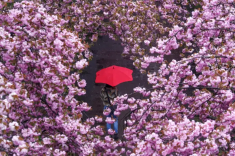 Frühjahrsdepression: Mythos oder Realität? Was wirklich hinter der Frühlingsmüdigkeit steckt