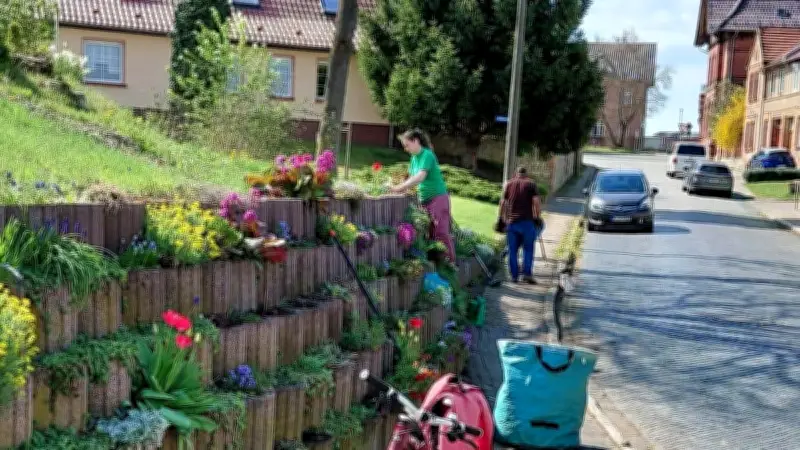 Frühjahrsputz in Frose: Vereine und Helfer verwandeln den Seeland-Ort in eine Blütenpracht