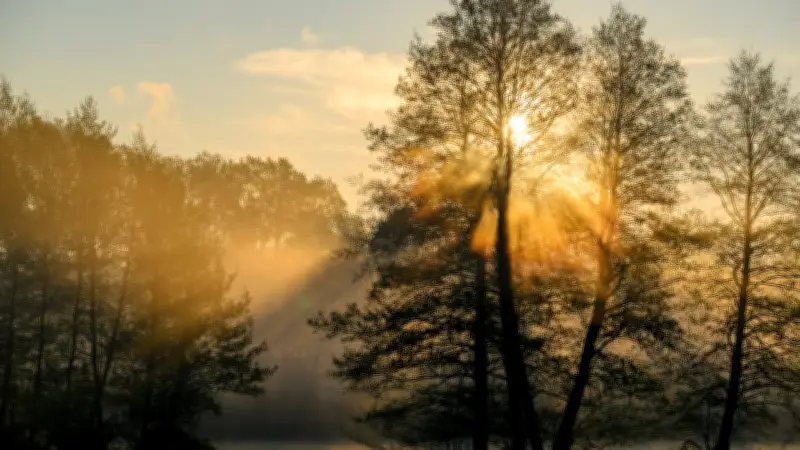 Frühlingserwachen zu Ostern: Temperaturen bis 23 Grad trotz wechselhaftem Wetter