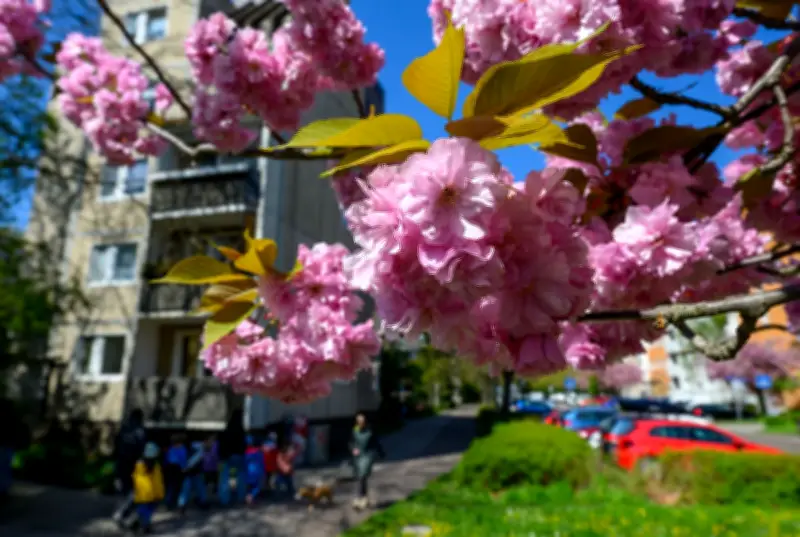 Frühlingshafte 20 Grad im Osten: DWD erwartet sonniges Wetter mit frostigen Nächten