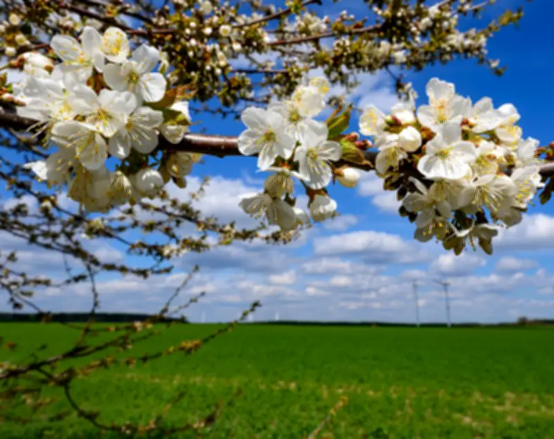 Frühlingshaftes Wochenende in Berlin und Brandenburg mit milden Temperaturen