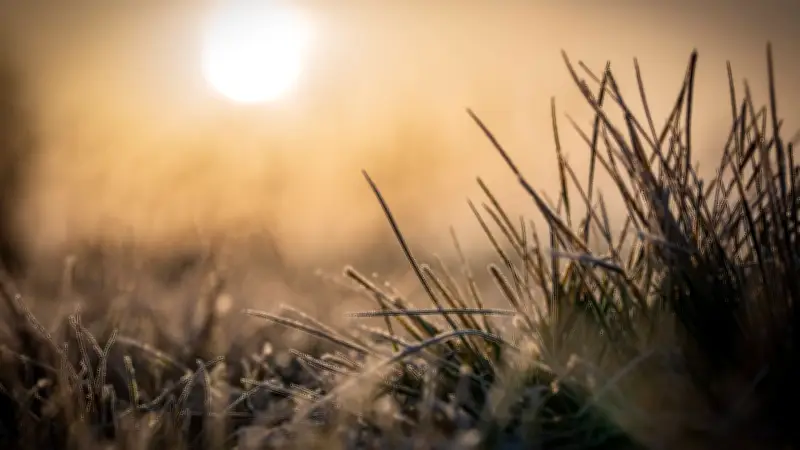 Frühlingsluft und Osterregen: So wird das Wetter in Sachsen-Anhalt bis Ostermontag