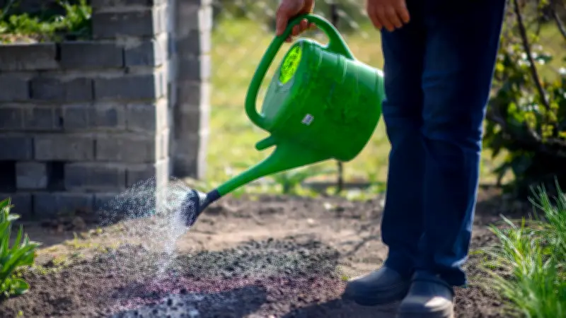 Frühlingsstart im Garten: 4 essentielle Tipps für Beete, Rasen und Gemüse