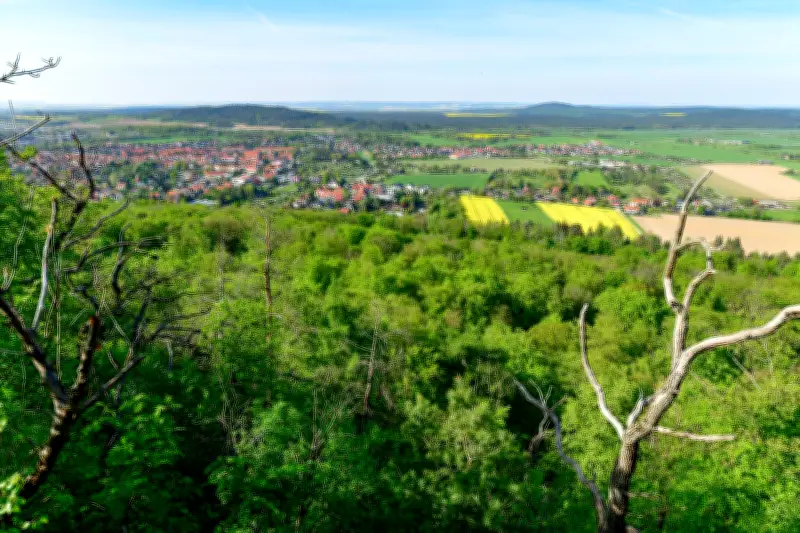 Frühlingswanderungen in Sachsen-Anhalt: Von Altmark bis Harz - die schönsten Routen