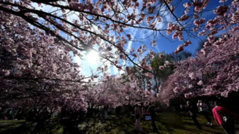 Frühlingswetter erreicht bis zu 26 Grad: Experten warnen vor nächtlichem Frost