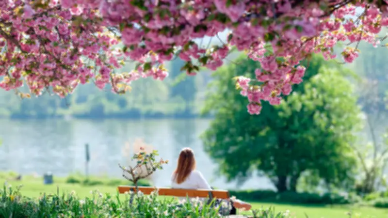 Frühlingswetter lockt Zecken: So schützen Sie sich beim Spaziergang