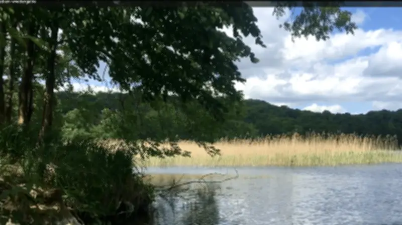 Frühmorgendliche Vogel-Bootstour startet am 11. April in der Feldberger Seenlandschaft