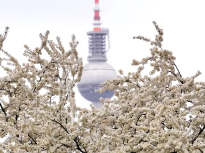 Frostige Nächte und Wechselwetter: April startet unbeständig in Berlin und Brandenburg