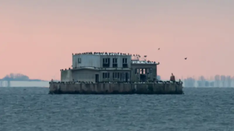 Geisterinsel im Rügischen Bodden: Wo DDR-Schiffe unsichtbar gemacht wurden