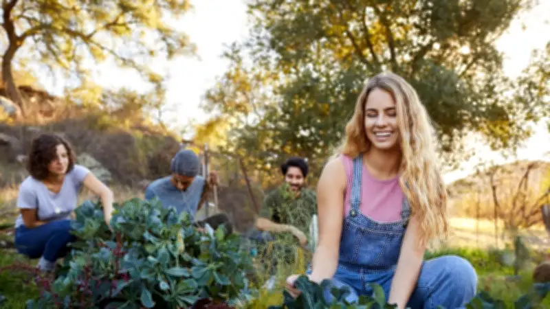 Gemeinschaftsgarten statt Privatgarten: Vorteile für Mieter