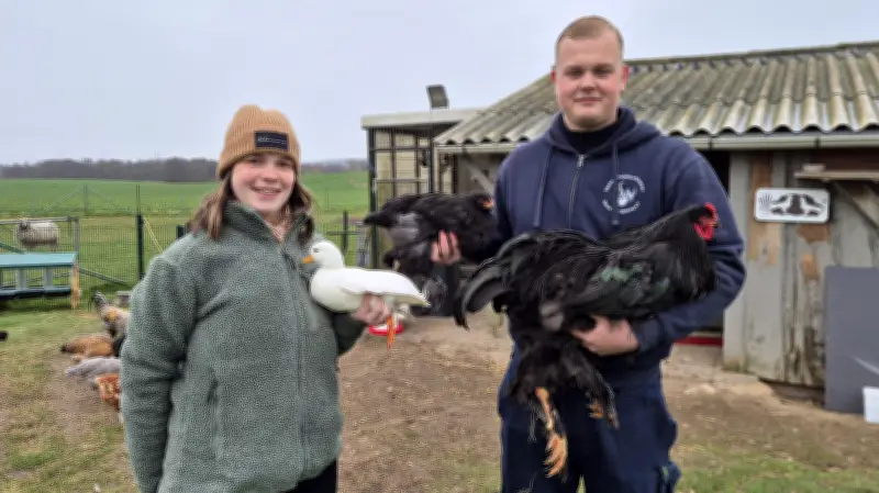 Generationswechsel beim Rassegeflügelzuchtverein Bützow: Junge Vorstände übernehmen Führung