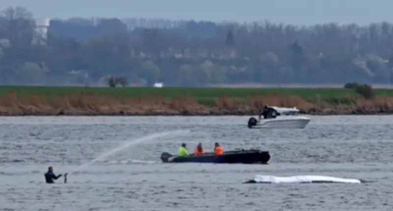 Gestrandeter Buckelwal in Ostsee: Transport heute nicht mehr möglich